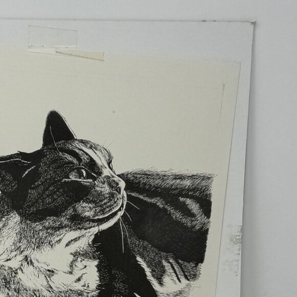 Limited Edition Bobbie Cericola Cat Pen Art Print 25/300 Black White Signed 9x12 - Picture 7 of 7